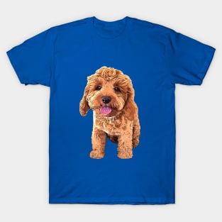 Spoodle Cockapoo Cavapoo Golden Doodle Beauty T-Shirt